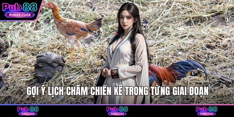 Gợi ý lịch chăm chiến kê trong từng giai đoạn